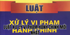 Anh Thumb bai viet1 1