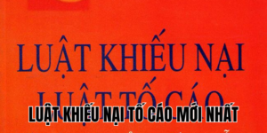 Anh Thumb bai viet1 16