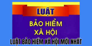 Anh Thumb bai viet1