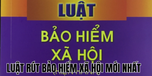 Anh Thumb bai viet1 52