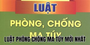 Anh Thumb bai viet1 57