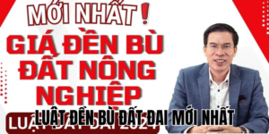 Cập Nhập Luật Đền Bù Đất Đai Mới Nhất Năm 2025 2 Anh Thumb bai viet1 59