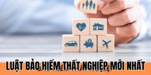 Cập nhật luật bảo hiểm thất nghiệp mới nhất năm 2025 3 Anh Thumb bai viet1 60