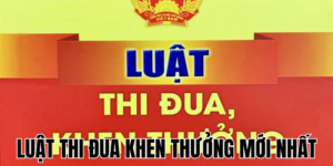 Anh Thumb bai viet2 1