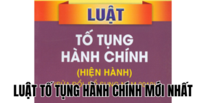 Anh Thumb bai viet2 10