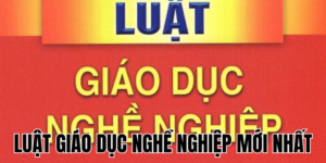 Anh Thumb bai viet2 11
