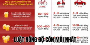 Anh Thumb bai viet2 9