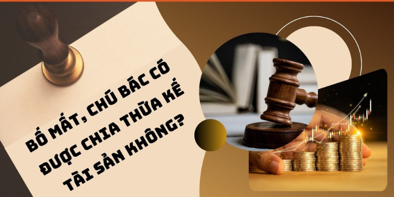 Luật Di Chúc Và Thừa Kế Mới Nhất 2025 - Những Điều Bạn Cần Biết 1 Anh trong bai 11 46