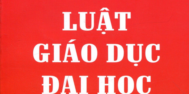 Tổng Quan Về Luật Giáo dục Đại học Mới Nhất 2025 1 Anh trong bai 11 50