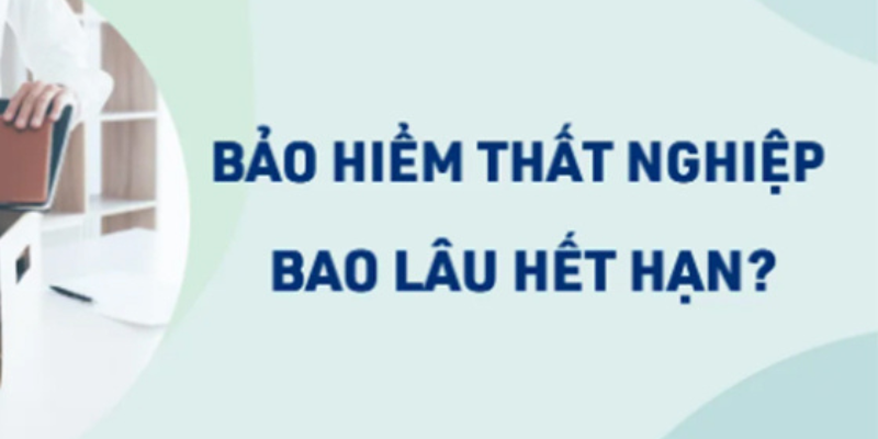 Cập nhật luật bảo hiểm thất nghiệp mới nhất năm 2025 1 Anh trong bai 11 57