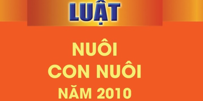Cập Nhập Về Luật Nuôi Con Nuôi Mới Nhất Năm 2025 1 Anh trong bai 12 11