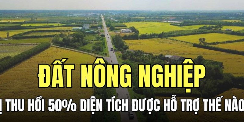 Những Thay Đổi Trong Luật Đất Nông Nghiệp Mới Nhất Năm 2025 1 Anh trong bai 12 6