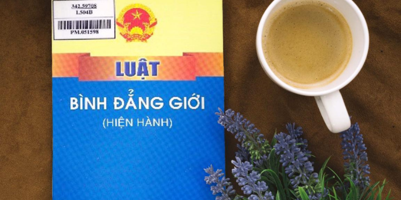 Luật Bình Đẳng Giới Mới Nhất - Những Thay Đổi Quan Trọng Năm 2025 1 Anh trong bai 12 9