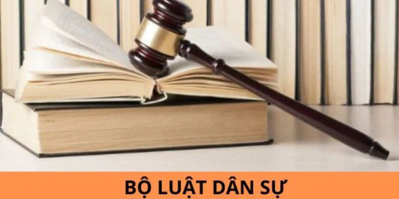 Tổng Quan Về Luật Dân Sự Mới Nhất Hiện Nay 2 Anh trong bai 21 40