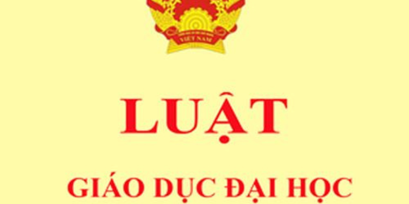 Tổng Quan Về Luật Giáo dục Đại học Mới Nhất 2025 2 Anh trong bai 21 52