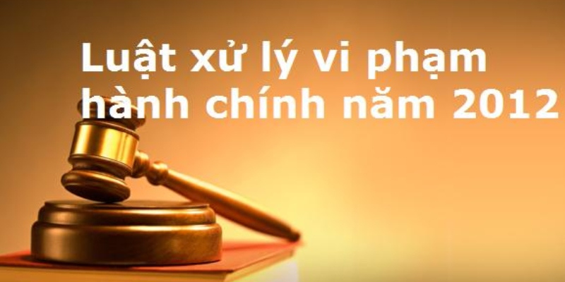 Luật Xử Lý Vi Phạm Hành Chính Mới Nhất - Những Điểm Cần Lưu Ý 3 Anh trong bai 31 2