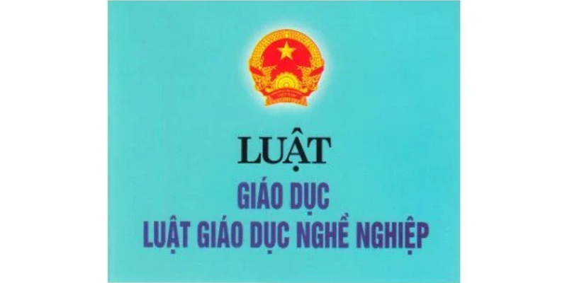 Luật Giáo Dục Nghề Nghiệp Mới Nhất - Những Quy Định Quan Trọng Năm 2025 3 Anh trong bai 31 36