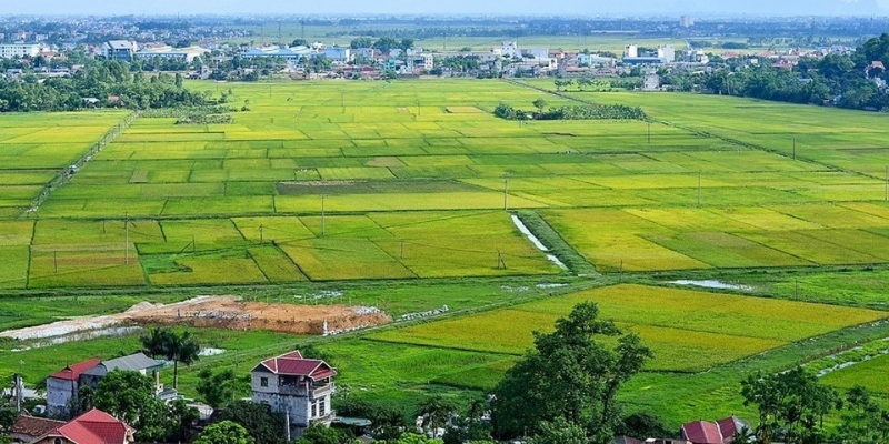 Những Thay Đổi Trong Luật Đất Nông Nghiệp Mới Nhất Năm 2025 3 Anh trong bai 32 6
