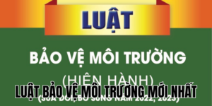 Anh Thumb bai viet1 18