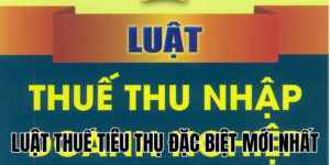 Anh Thumb bai viet1 19