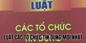 Luật Các Tổ Chức Tín Dụng Mới Nhất 2024 - Những Điểm Cập Nhật Quan Trọng 6 Anh Thumb bai viet1 3