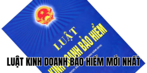Luật Kinh Doanh Bảo Hiểm Mới Nhất 2024 - Cập Nhật Chi Tiết 10 Anh Thumb bai viet1 8