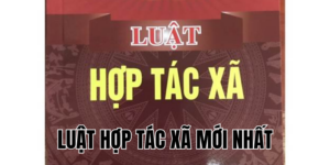 Anh Thumb bai viet1 9
