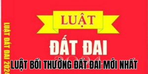 Anh Thumb bai viet2 2