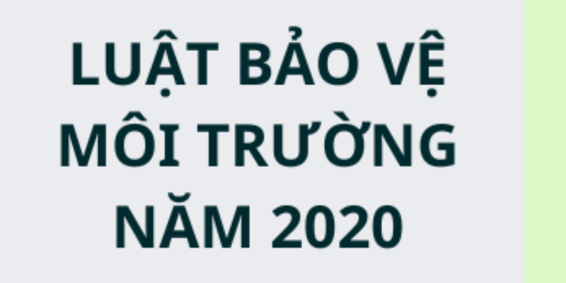 Luật Bảo Vệ Môi Trường Mới Nhất - Quy Định Quan Trọng 2025 1 Anh trong bai 12 6