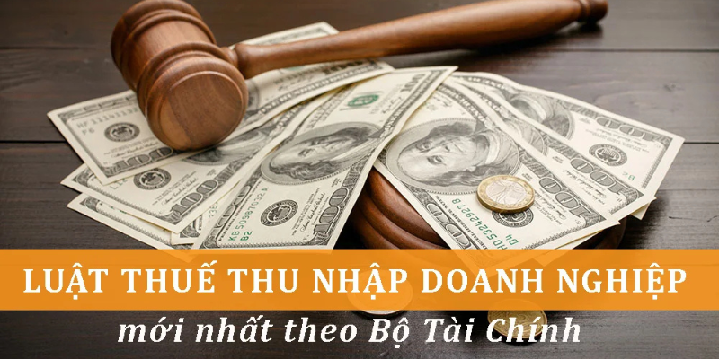 Luật Thuế Thu Nhập Doanh Nghiệp Mới Nhất 2024 - Những Thay Đổi Quan Trọng 2 Anh trong bai 21 1