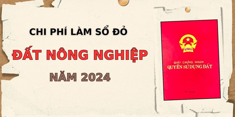 Luật Bồi Thường Đất Đai Mới Nhất 2024 - Quyền Lợi Và Cách Thực Hiện 2 Anh trong bai 21 11