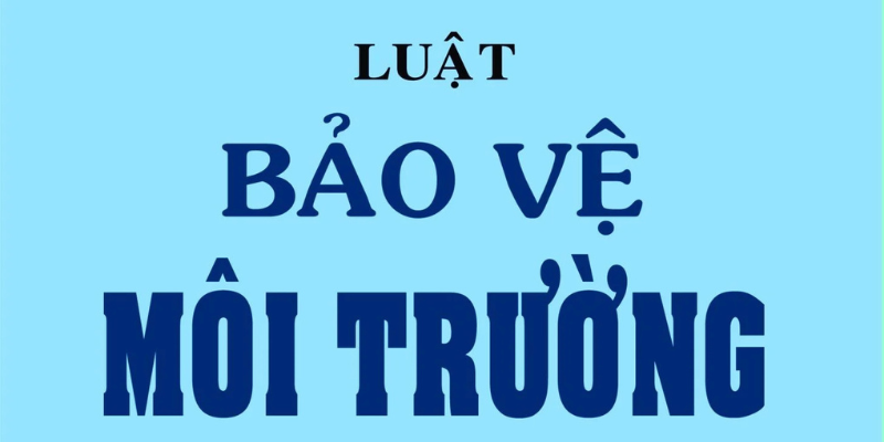 Luật Bảo Vệ Môi Trường Mới Nhất - Quy Định Quan Trọng 2025 2 Anh trong bai 21 15