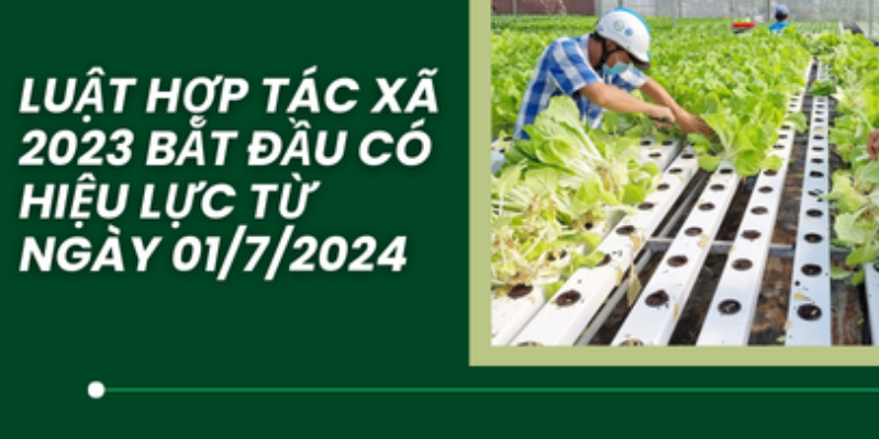 Luật Hợp Tác Xã Mới Nhất - Thay Đổi Và Cơ Hội 2 Anh trong bai 22 3