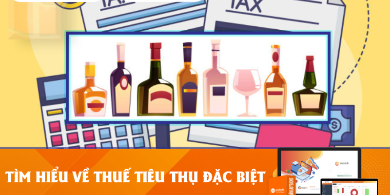 Luật Thuế Tiêu Thụ Đặc Biệt Mới Nhất - Các Nội Dung Cần Nắm 2 Anh trong bai 22 6