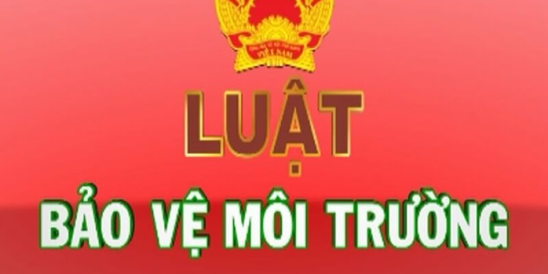 Luật Bảo Vệ Môi Trường Mới Nhất - Quy Định Quan Trọng 2025 3 Anh trong bai 31 15