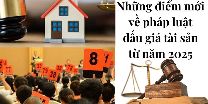Luật Đấu Giá Tài Sản Mới Nhất - Cập Nhật Quy Định Năm 2025 3 Anh trong bai 31 6